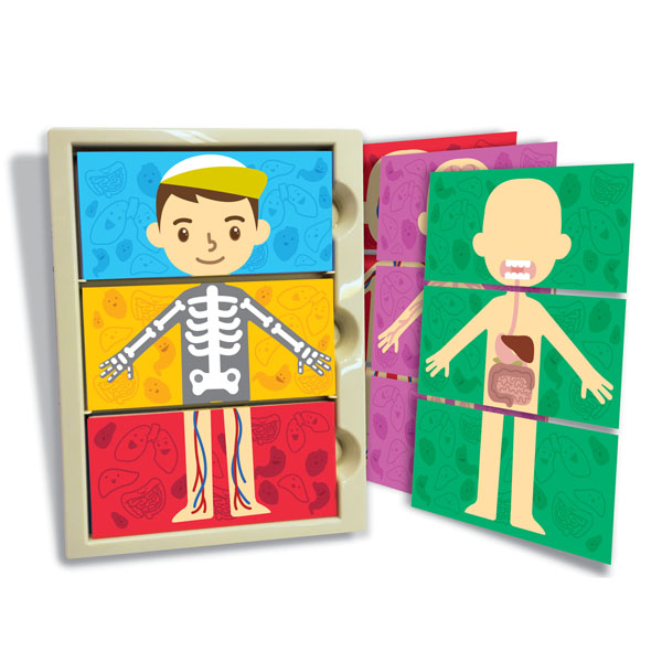 //images.materilejuguetes.com/imagenes/productos/5@img5caea850819ac.png