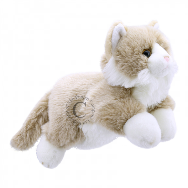 //images.materilejuguetes.com/imagenes/productos/5@img5d158b84eef02.png