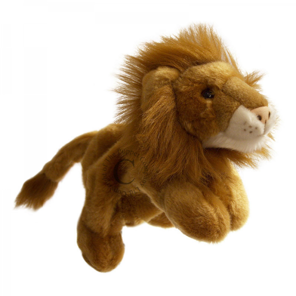//images.materilejuguetes.com/imagenes/productos/5@img5d159174bd10c.png