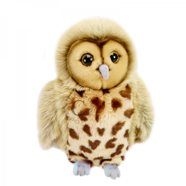 //images.materilejuguetes.com/imagenes/productos/5@img5d1591f770fd8.png
