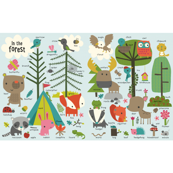 Libro Primeras Palabras