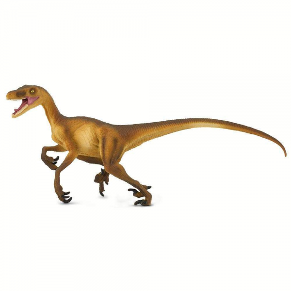 Velociraptor Pequeño