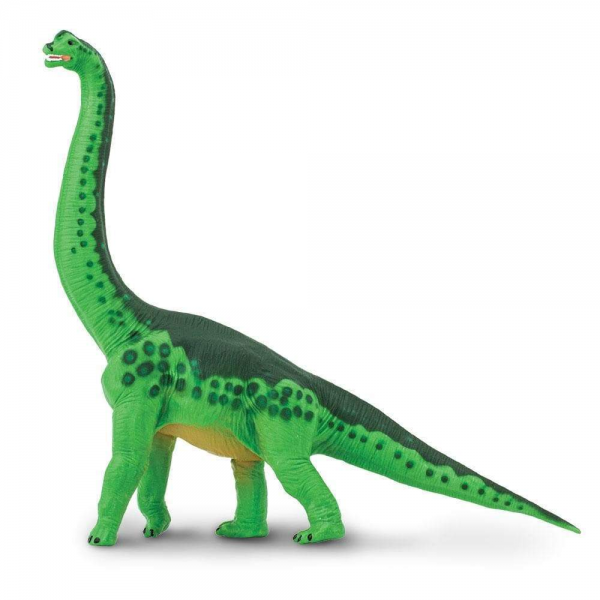 Brachiosaurus Pequeño