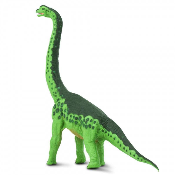 //images.materilejuguetes.com/imagenes/productos/5@img6083332aefde2.png