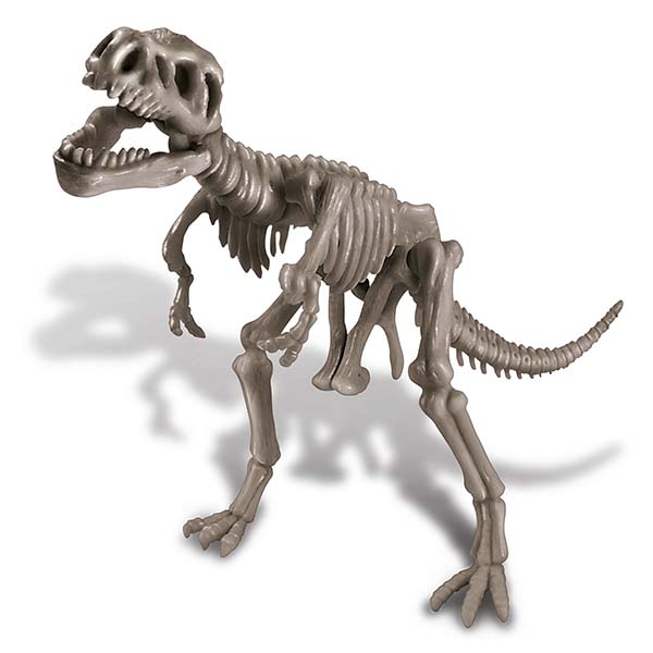 Excava tu Tyranosaurio Rex