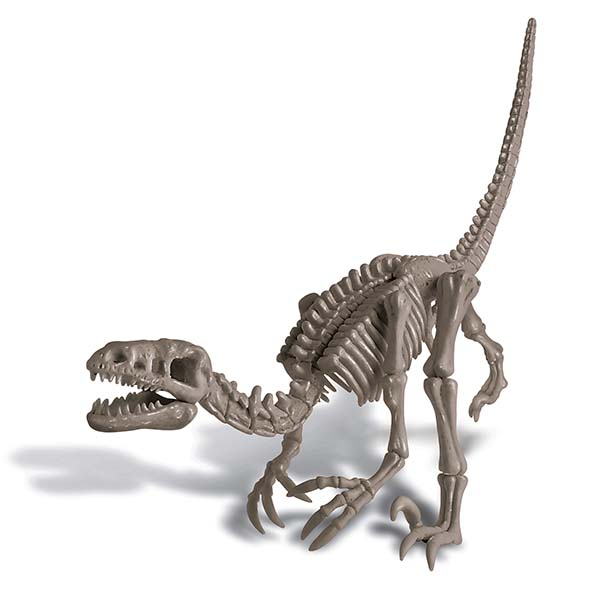 Excava un Velociraptor