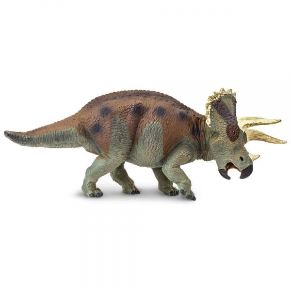 Triceratops Mediano