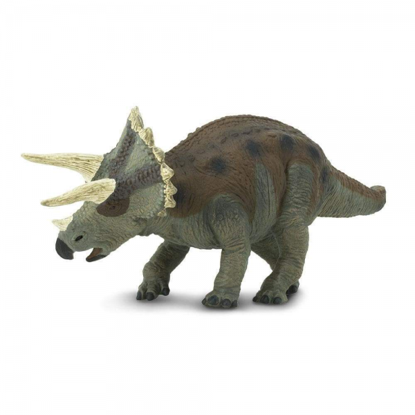 Triceratops Mediano
