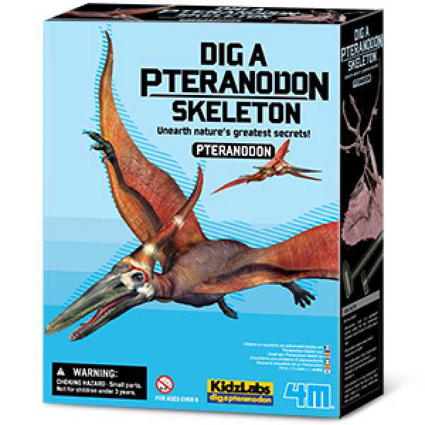 Excava un Pteranodon