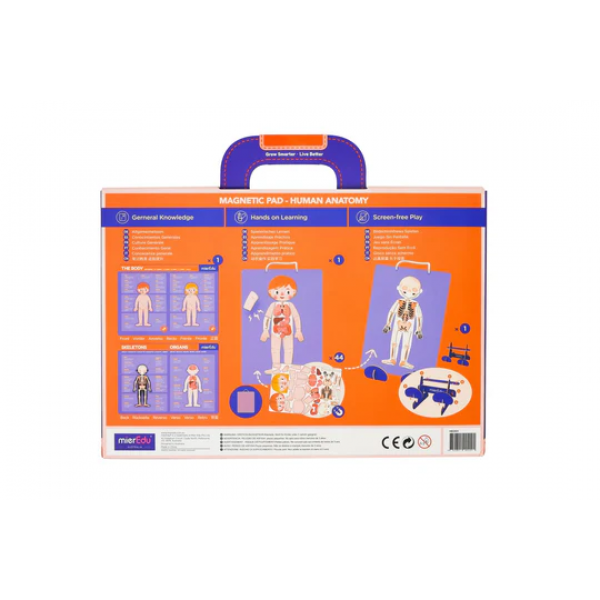 Almohadilla Magnética - Anatomía Humana