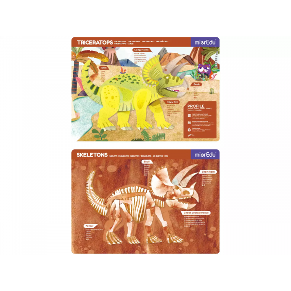 Alnohadilla Magnética - Triceratops