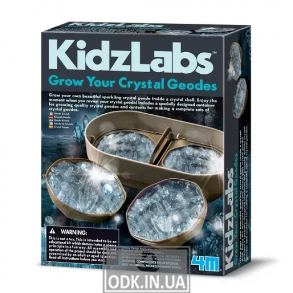 Kit Para El Cultivo de Cristales Geodas
