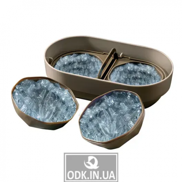 Kit Para El Cultivo de Cristales Geodas