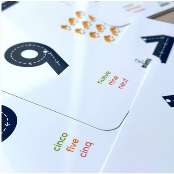 Flash Cards Los Números Con Los Animales De Colombia