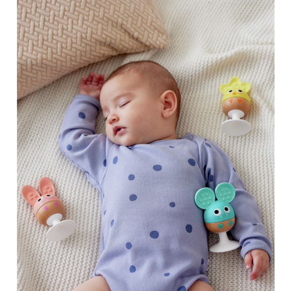 Set Sonajero y Mordedor