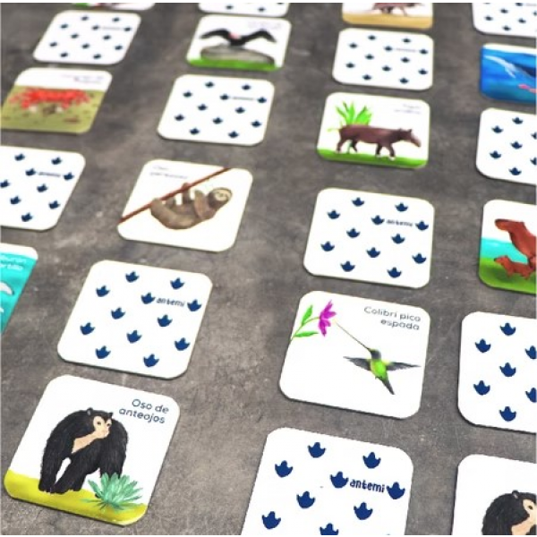 Animales De Colombia- Memoria